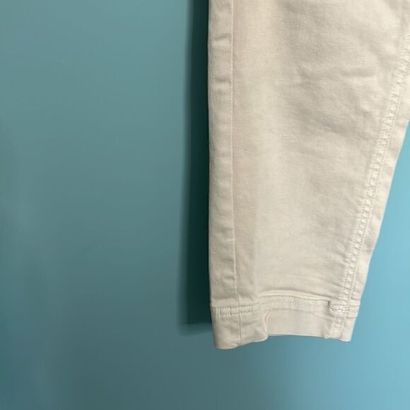 Everlane The Slim Leg Crop Pant in Sandstone - Picture 3 of 10